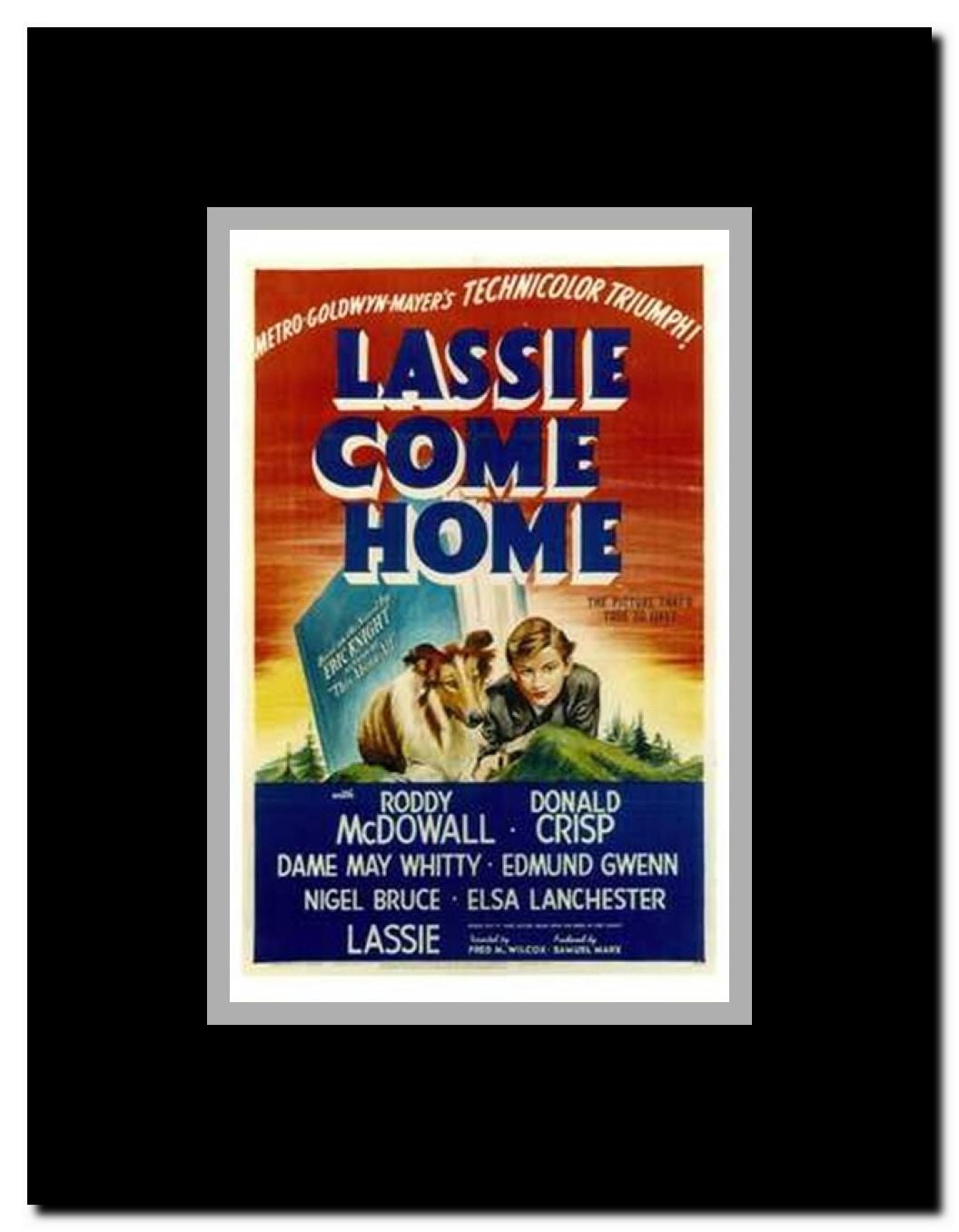 Lassie Come Home Framed Movie Poster