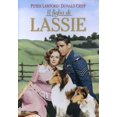 thumbnail image 1 of Lassie - Il Figlio Di Lassie (DVD) peter lawford leon ames, 1 of 1