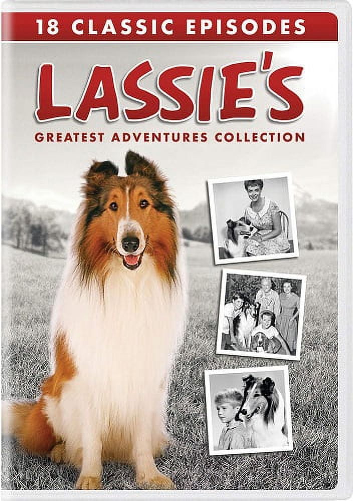 インポート・海外人気ブランド Adventures Greatest Lassie's Collection [DVD Set) (DVD その他