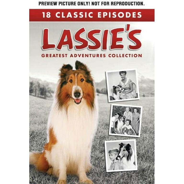 Lassie, The World's Most Famous Dog