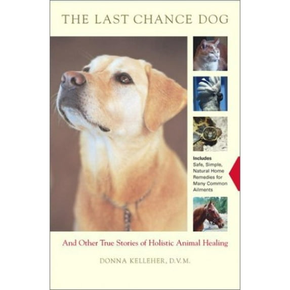 Pre-Owned The Last Chance Dog: And Other Stories of Holistic Animal Healing (Hardcover) 0743223012 9780743223010