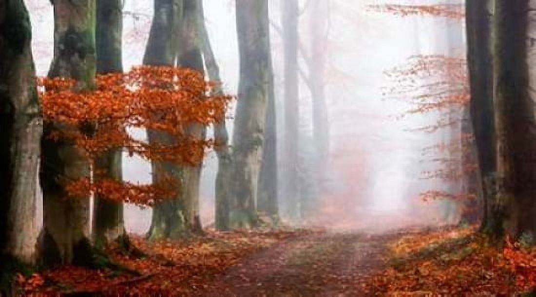 Last Guide before the Mist Canvas Art - Lars Van de Goor (12 x 18)