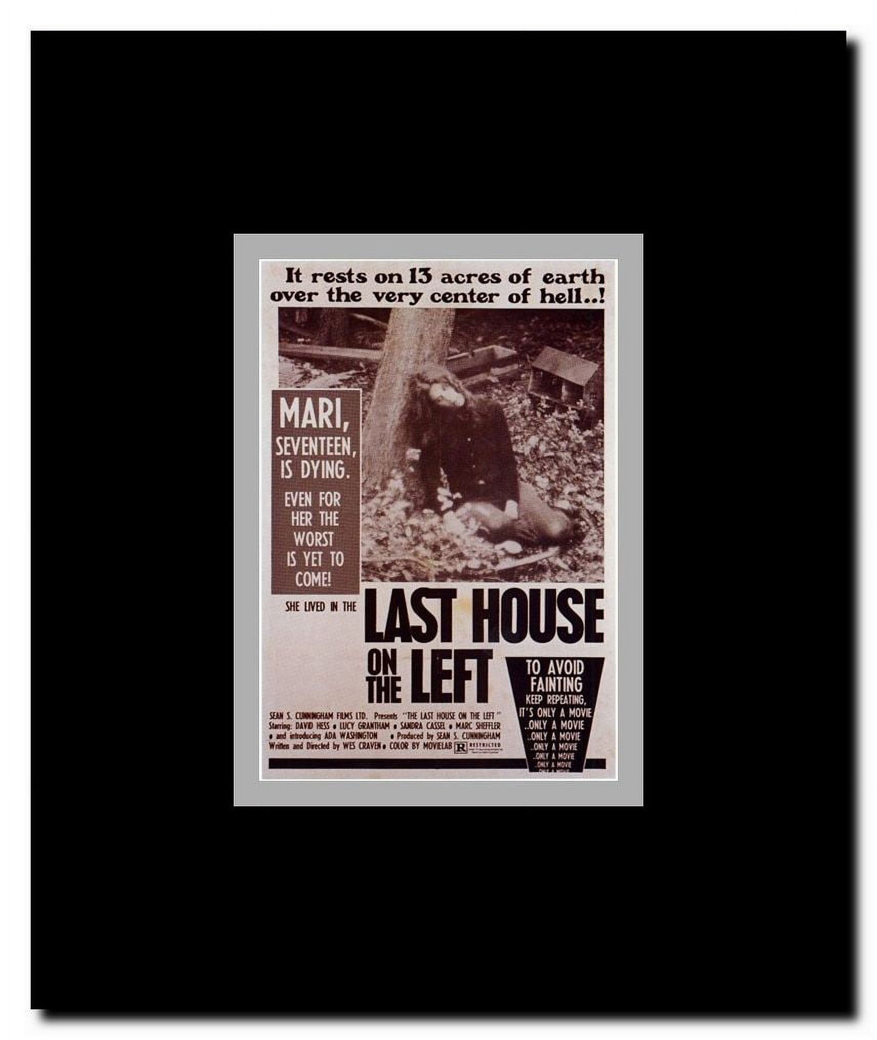 Last House on the Left Framed Movie Poster