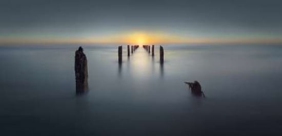 Last Light Canvas Art - Nadav Jonas (10 x 20)