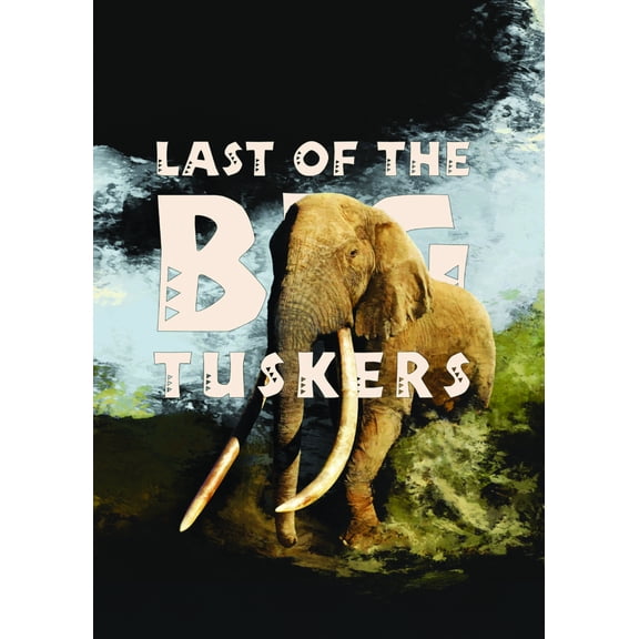Last Of The Big Tuskers