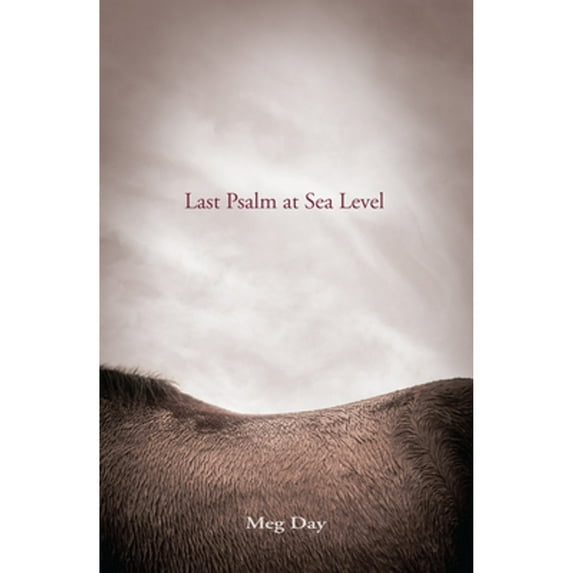Pre-Owned Last Psalm at Sea Level (Paperback) 098932964X 9780989329644