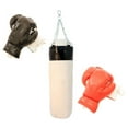thumbnail image 1 of Last Punch New 2 Pairs Boxing Punching Gloves with Body Punch Bag - Training Set, 1 of 2