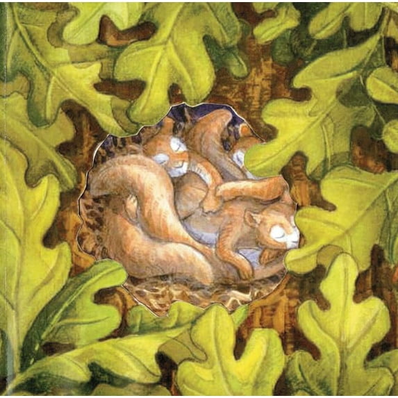 Pre-Owned Last Song (Hardcover) 1596435089 9781596435087