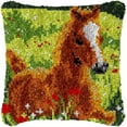 thumbnail image 1 of Latch Hook Cushion Kits, Latch Hook Pillow Case Kits Embroidery Kits Carpet Set, DIY Needlework Pillow Cover Sofa Cushion Rug Making Kits, DIY Craft Kits 43x43 cm, 1 of 6