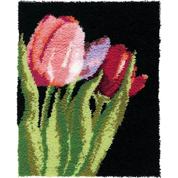 Latch Hook Kits for Adults Gift DIY Rug Making Kits with Canvas Doormat Tapestry Kits Needlework Arts Crafts Sewing for Kids Beginners Home Decoration 20.5Inch X 13.8Inch (A)