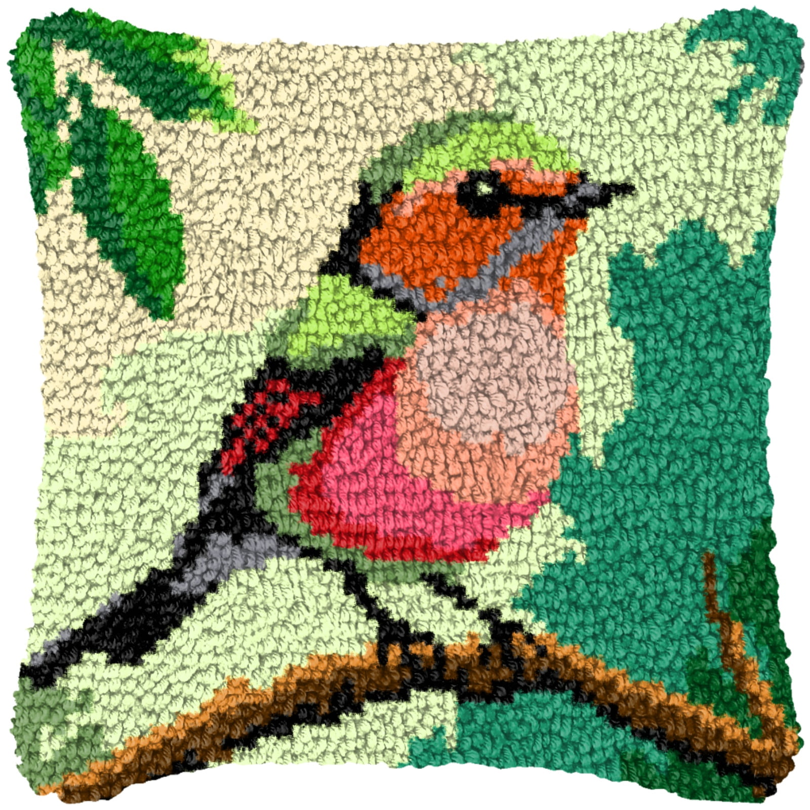 Latch Hook Kits for Adults Kids,Bird Pattern Color Printed Canvas DIY Throw Pillow Cover,Beginners Handmade Needlework Crafts Home Decoration 17x17inch