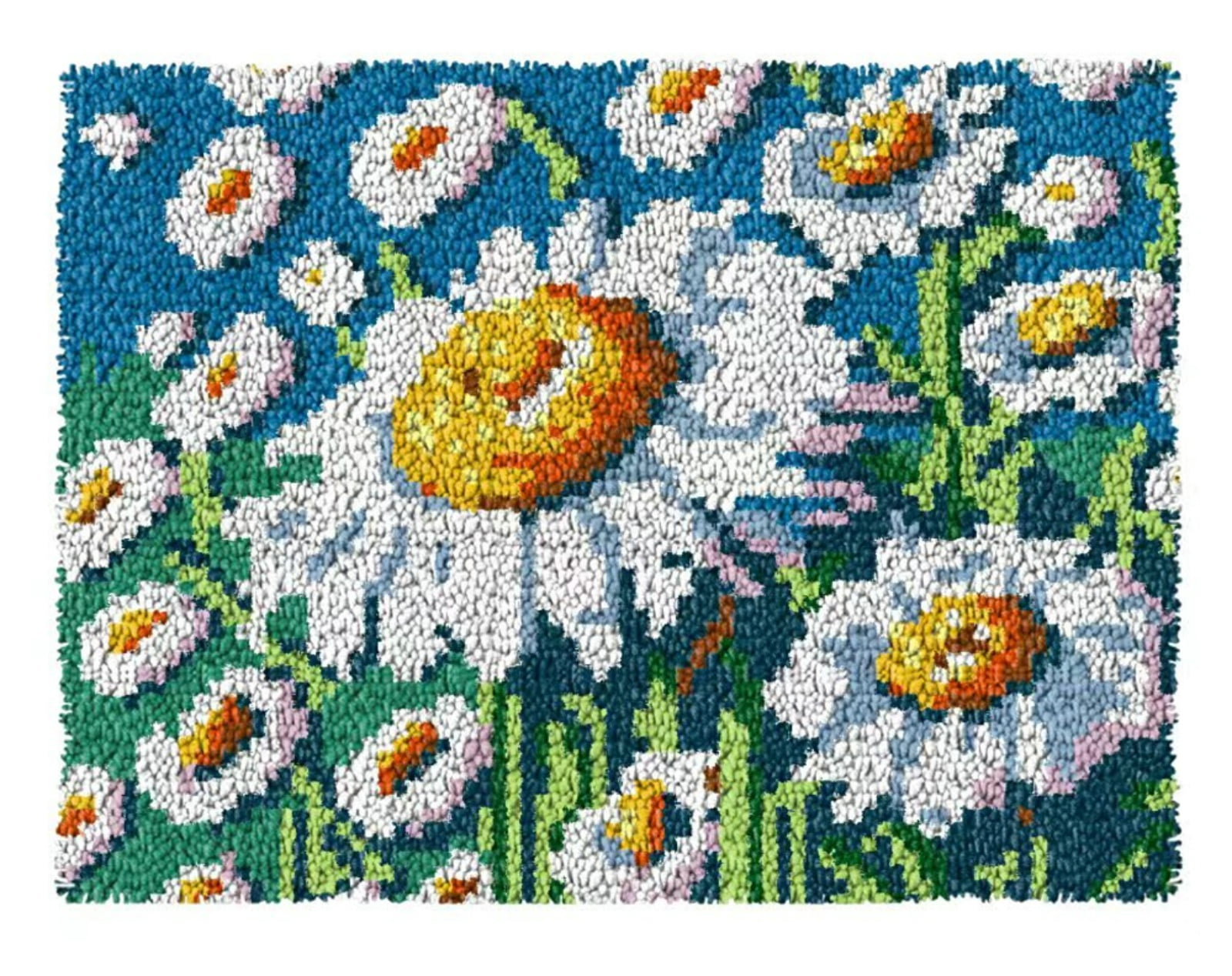 Latch Hook Kits for Adults Kids,Daisy Pattern Color Printed Canvas DIY Rug Kits Carpet Embroidery Sofa Cushion,Beginners Handmade Needlework Crafts Home Decoration 20.5x15inch