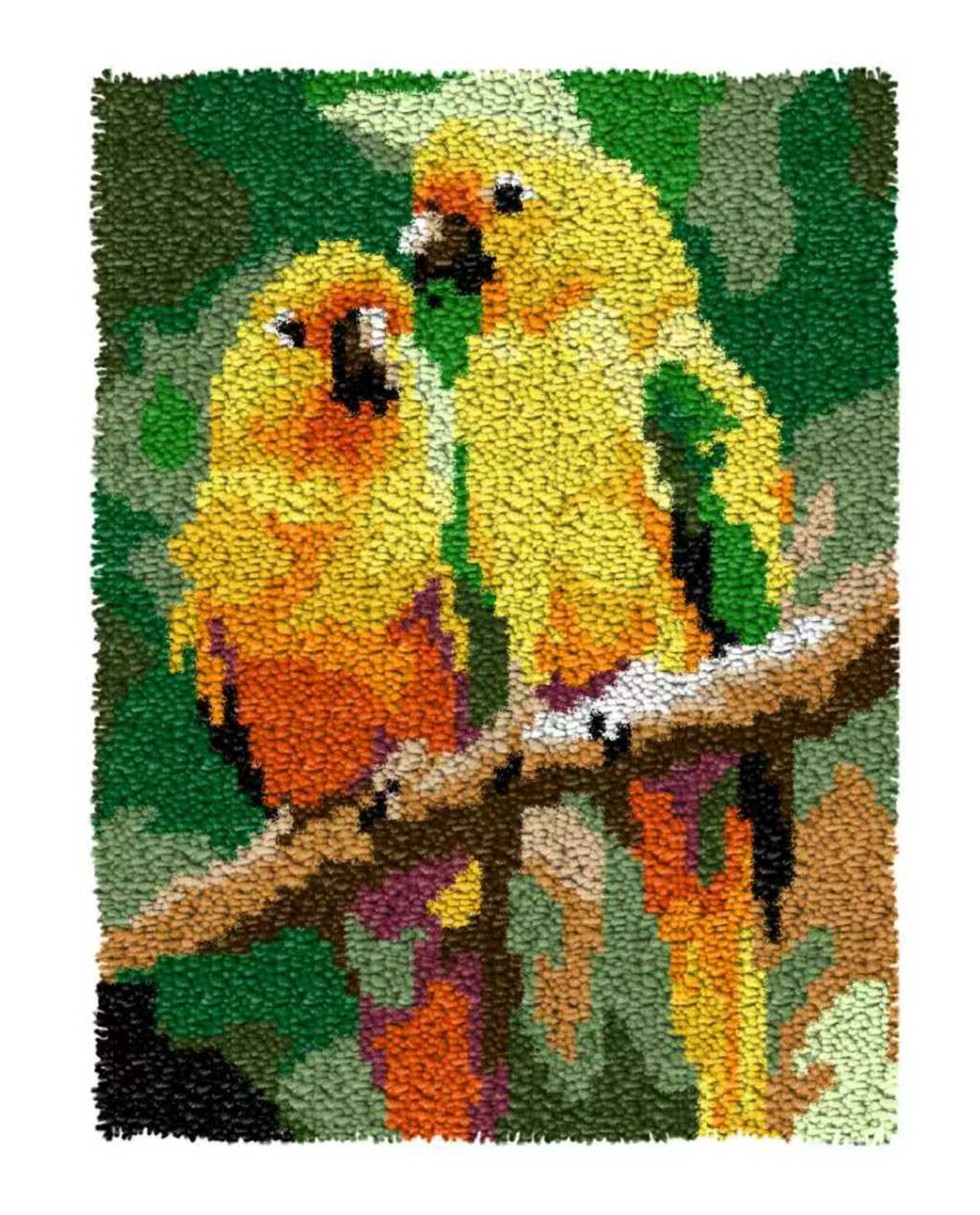 Latch Hook Kits for Adults Kids,Parrot Pattern Color Printed Canvas DIY Rug Kits Carpet Embroidery Sofa Cushion,Beginners Handmade Needlework Crafts Home Decoration 20.5x15inch