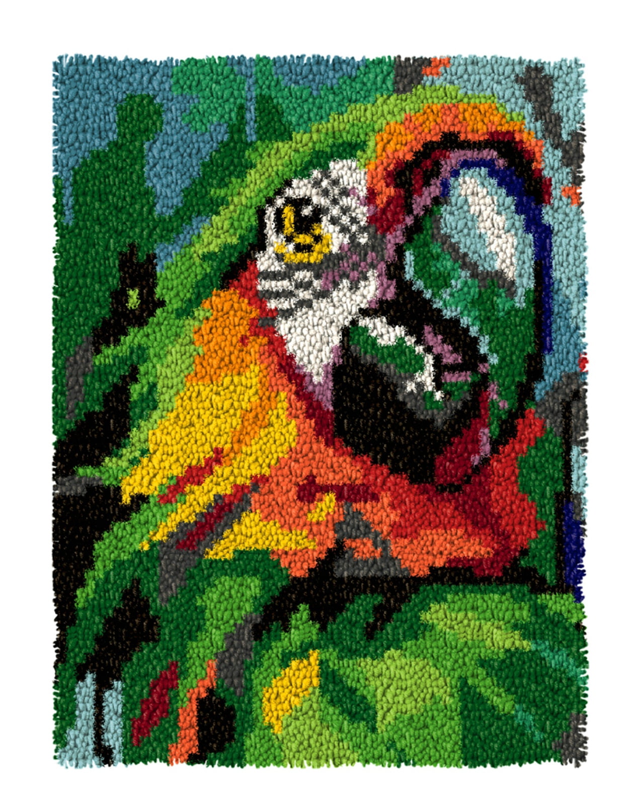Latch Hook Kits for Adults Kids,Parrot Pattern Color Printed Canvas DIY Rug Kits Carpet Embroidery Sofa Cushion,Beginners Handmade Needlework Crafts Home Decoration 20.5x15inch