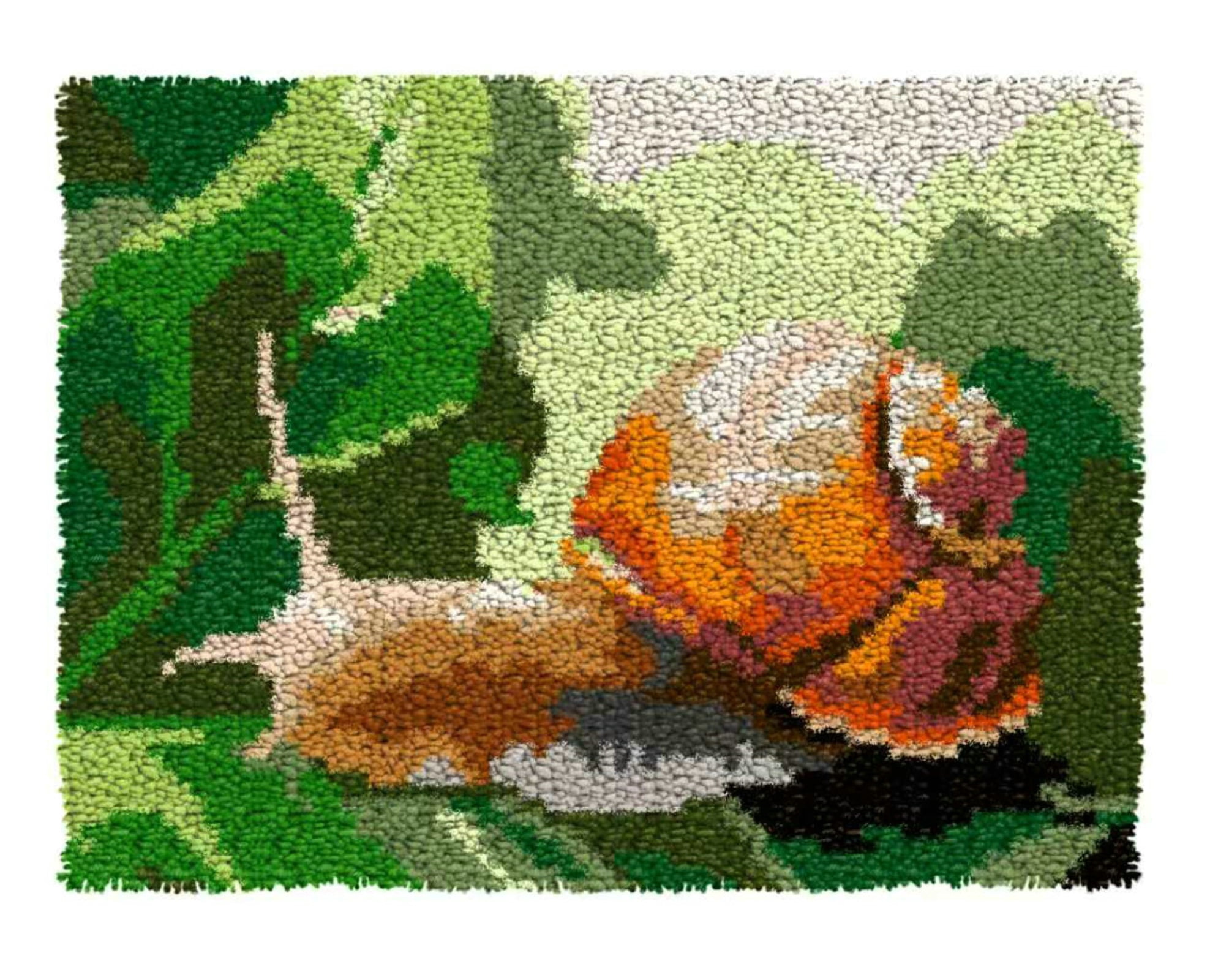 Latch Hook Kits for Adults Kids,Snail Pattern Color Printed Canvas DIY Rug Kits Carpet Embroidery Sofa Cushion,Beginners Handmade Needlework Crafts Home Decoration 20.5x15inch