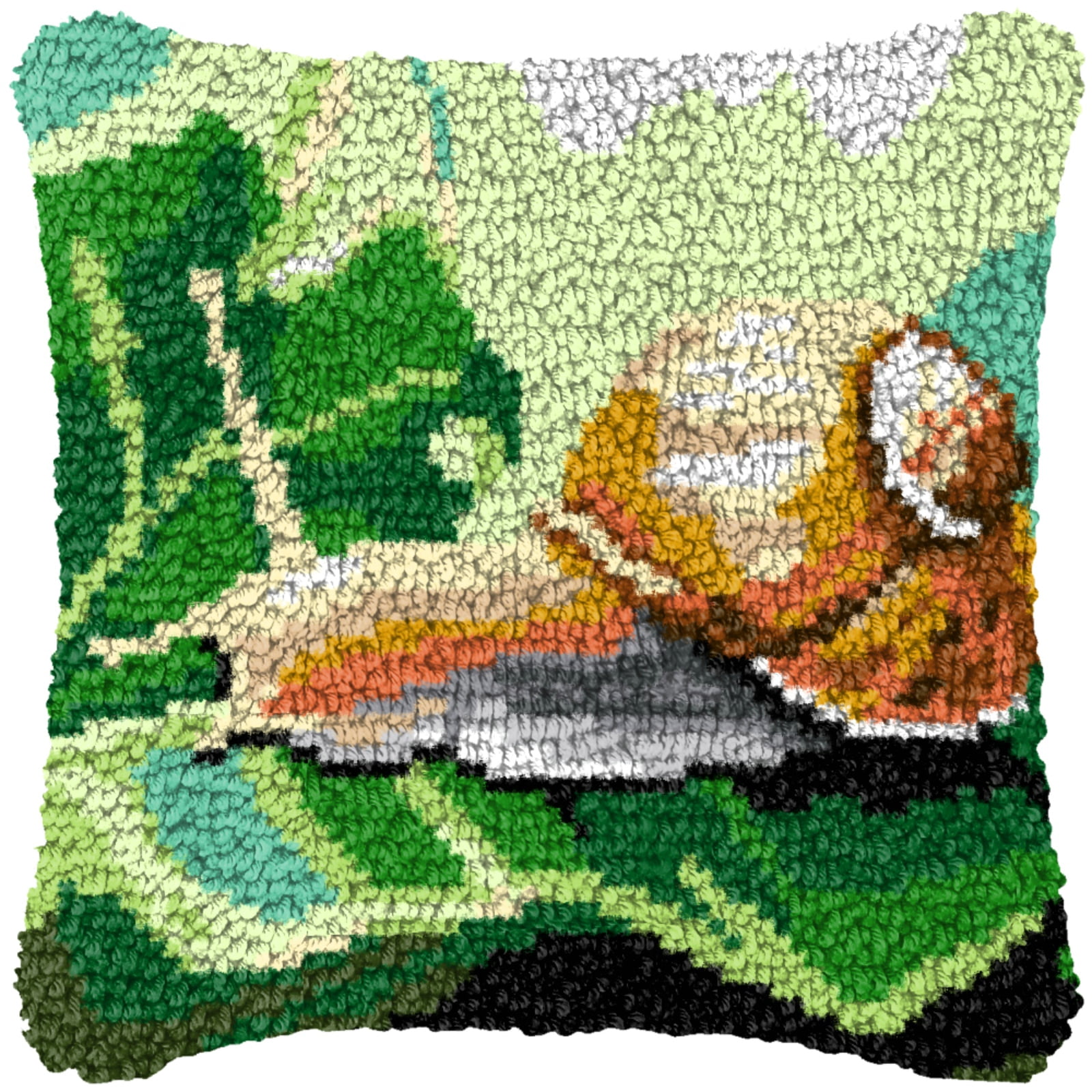 Latch Hook Kits for Adults Kids,Snail Pattern Color Printed Canvas DIY Throw Pillow Cover,Beginners Handmade Needlework Crafts Home Decoration 17x17inch