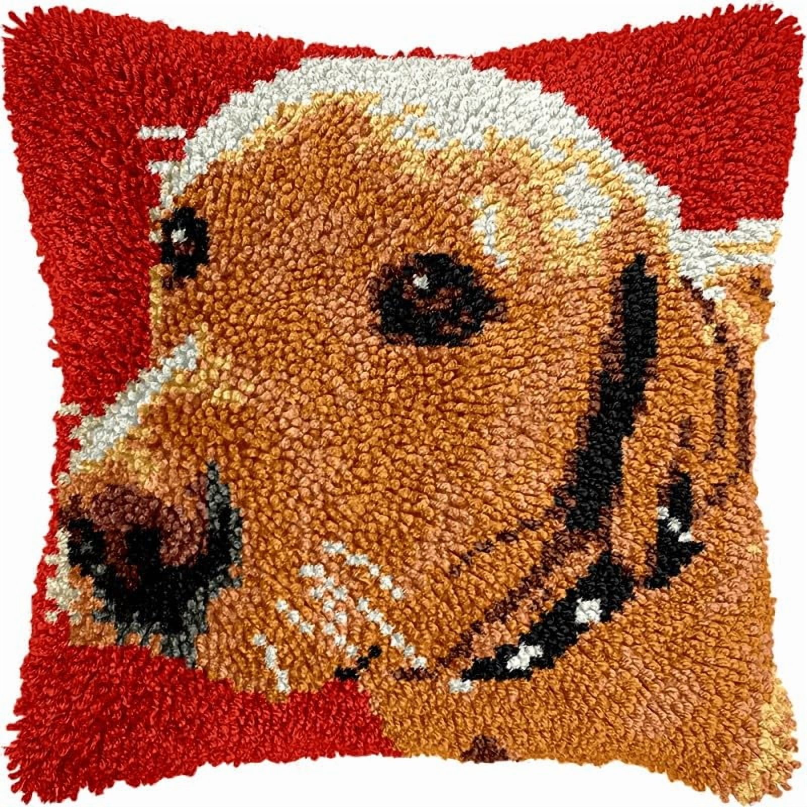 Latch Hook Pillow Kits for DIY Handmade Throw Pillow Cushion Cross Stitch Latch Hooking Pillowcase Kits with Preprinted Canvas Crochet Yarn 17''X 17''(Y58)