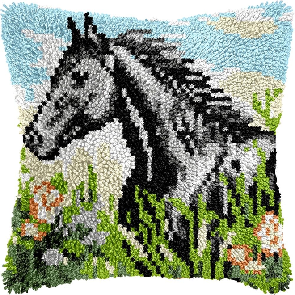 Latch Hook Pillow Kits for DIY Throw Pillow Cushion Embroidery Latch Hooking Pillowcase Kits with Preprinted Canvas Crochet Yarn Kits for Home Decor 17''X 17''(j148)