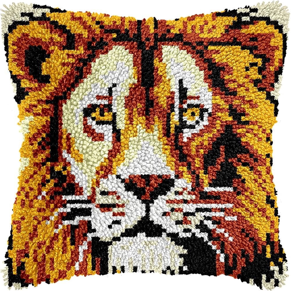 Latch Hook Pillow Kits for DIY Throw Pillow Cushion Embroidery Latch Hooking Pillowcase Kits with Preprinted Canvas Crochet Yarn Kits for Home Decor 17''X 17''(j160)