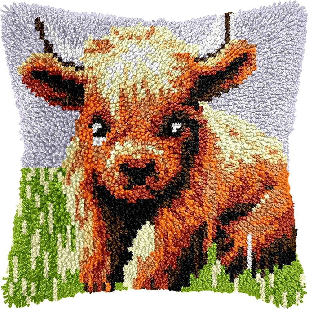 Latch Hook Pillow Kits for DIY Throw Pillow Cushion Embroidery Latch Hooking Pillowcase Kits with Preprinted Canvas Crochet Yarn Kits for Home Decor 17''X 17''(j187)
