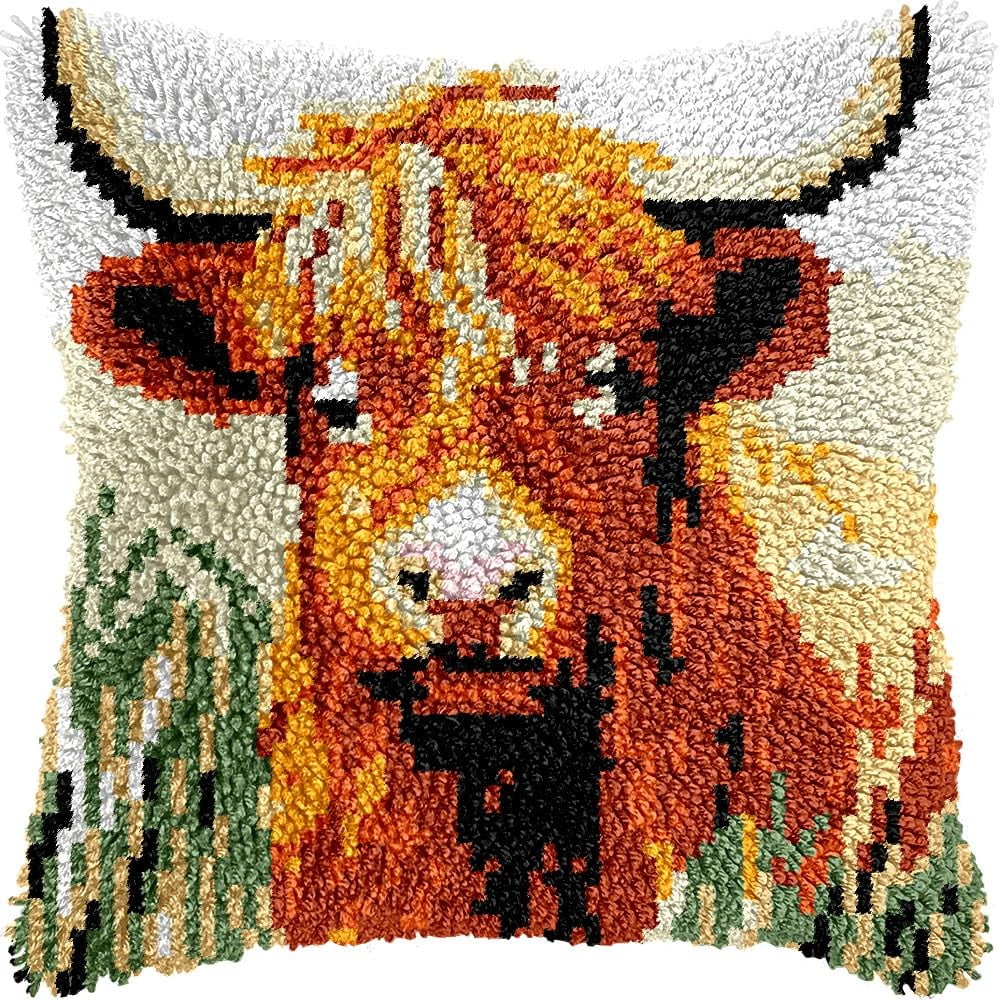 Latch Hook Pillow Kits for DIY Throw Pillow Cushion Embroidery Latch Hooking Pillowcase Kits with Preprinted Canvas Crochet Yarn Kits for Home Decor 17''X 17''(j208)