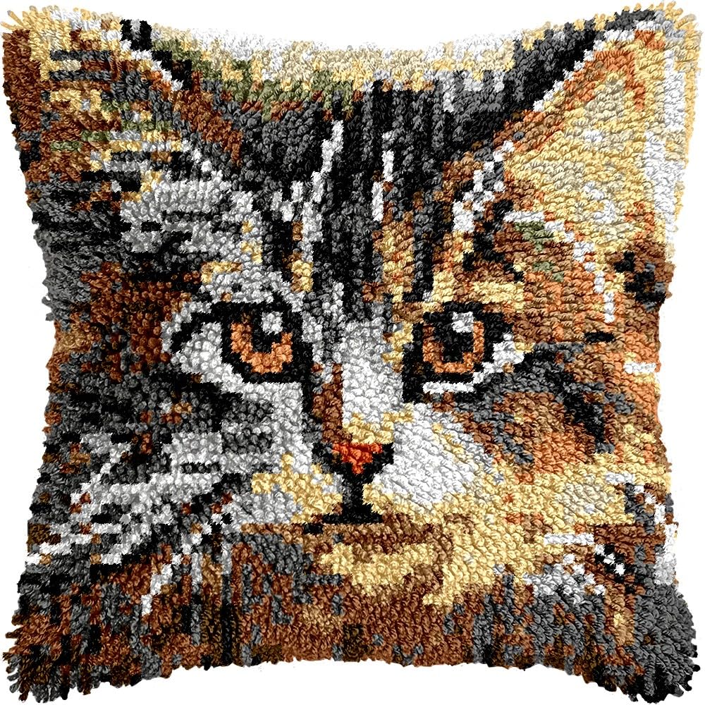 Latch Hook Pillow Kits for DIY Throw Pillow Cushion Embroidery Latch Hooking Pillowcase Kits with Preprinted Canvas Crochet Yarn Kits for Home Decor 17''X 17''(j220)