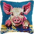 thumbnail image 1 of Latch Hook Pillow Kits Pillow Cover Pattern Color Pig Printed Canvas Cross Stich Hooking Pillowcase Cushion Crafts Embroidery Crochet Home Decor Kits 17x17 inch(B1), 1 of 6