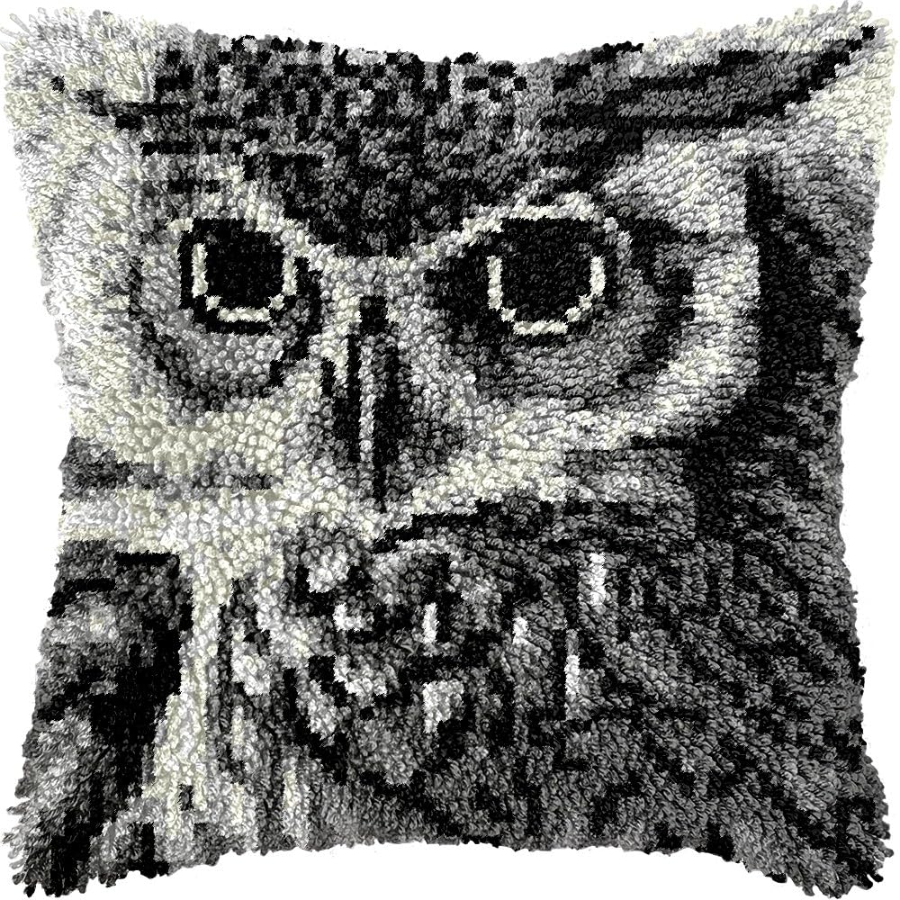 Latch Hook Pillow Kits Pillow Cover Pattern Owl Bird Printed Canvas Knitted Hooking Pillowcase Cushion Crafts Embroidery Crochet Home Decor Kits 17x17 inch(c83)