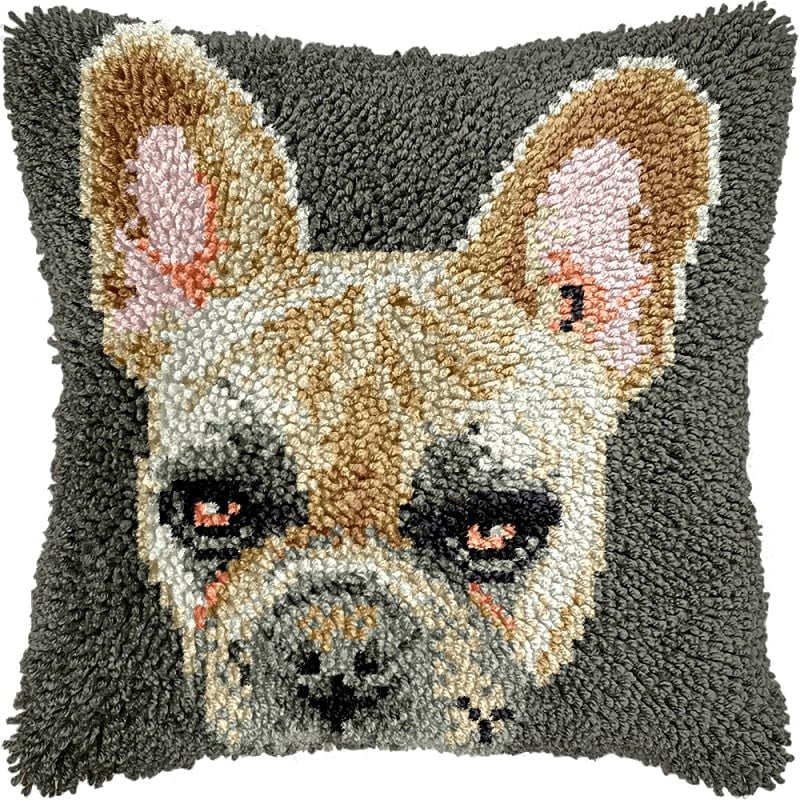 Latch Hook Pillow Kits Pillow Cover Pattern Printed Canvas Crochet Knitted Hooking Pillowcase Cushion Crafts Embroidery Latch Hooking Crochet Kits Set 17x17 inch(72)