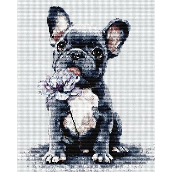 Latch Hook Rug Kits For Adults Beginners Bulldog And Flowers Diy Craft Doormat Rug Making Kit Tapestry Cushion Knitting Patterns Printed Mesh Mat Canvas Wool Yarn Fabric Gift Women