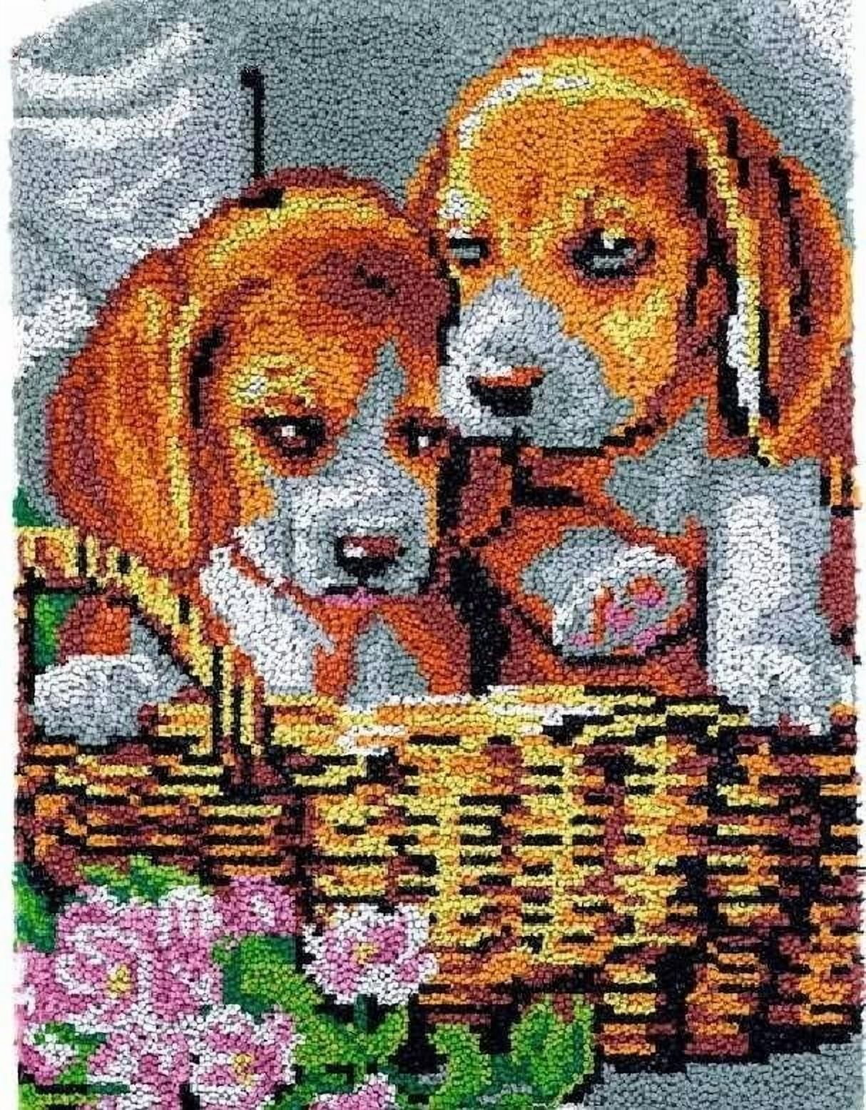 Latch Hook Rug Kits, DIY Latch Hook Rug, Home Carpet Rug Making Canvas Kits, DIY Crochet Kits Embroidery Kits Needlework Crafts for Home Decor, Latch Hook Kits for Beginners Kids Adults, 50 X 38 cm