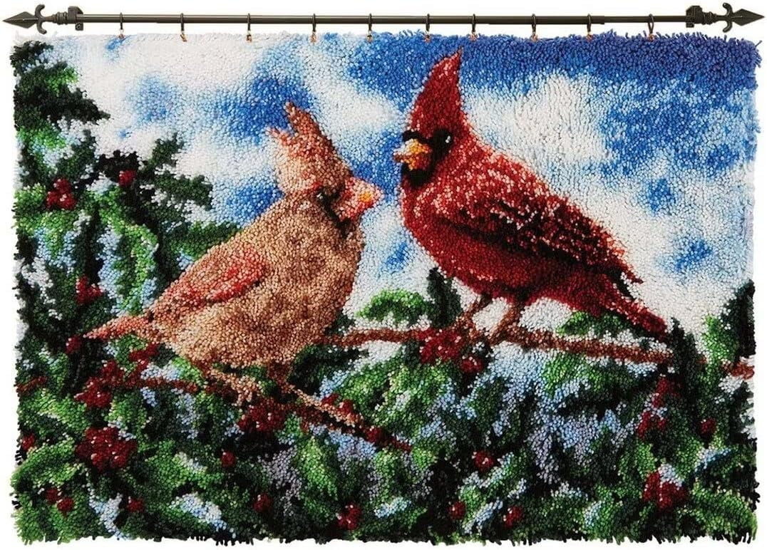 Latch Hook Rug Kits, DIY Latch Hook Rug, Home Carpet Rug Making Canvas Kits, DIY Crochet Kits Embroidery Kits Needlework Crafts for Home Decor, Latch Hook Kits for Beginners Kids Adults, 50 X 38 cm