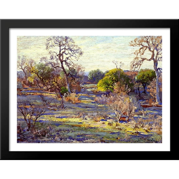 Late Afternoon, Alamo Heights, San Antonio, Texas 36x28 Large Black Wood Framed Print Art by Robert Julian Onderdonk