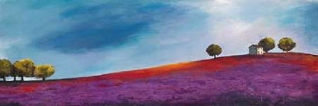 Late Afternoon Canvas Art - Philip Bloom (8 x 24)