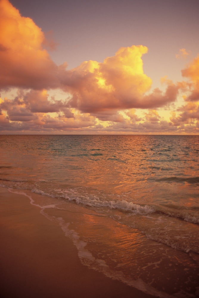 Late Afternoon Light Sreflects Pink Clouds On A Calm Ocean Canvas Art - Dana Edmunds Design Pics (11 x 17)