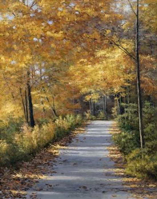Late Fall Canvas Art - Diane Romanello (22 x 28)