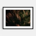 thumbnail image 1 of Late Summer Bloom in Mt. Scott - Portland Oregon Photography Botanical Autumn Floral Nature Garden Wilderness Moody Black Framed Wall Art Print 16 x 24 inches, 1 of 4