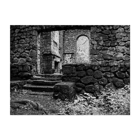 Late Summer at Northgate (2025; CE) - Cold Spring New York Photography Abandoned Black and White Architecture Rustic Moody Forest Unframed Wall Art Print 5 x 7 inches