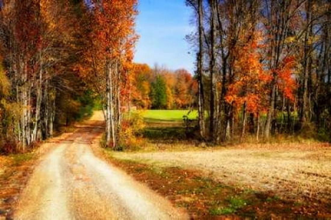 Late Virginia Autumn Canvas Art - Alan Hausenflock (20 x 28)