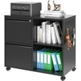 Lateral File 2 Drawer File with Lock, Printer