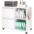 Lateral File 2 Drawer File with Lock, Printer Stand