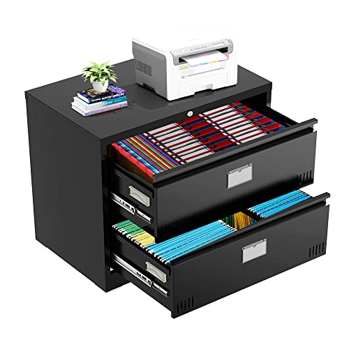 Lateral File with Lock, 2 Drawer Filing Vertical Metal