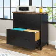 Lateral File Cabinet with 2 Drawers for Home Offcie, Letter Size