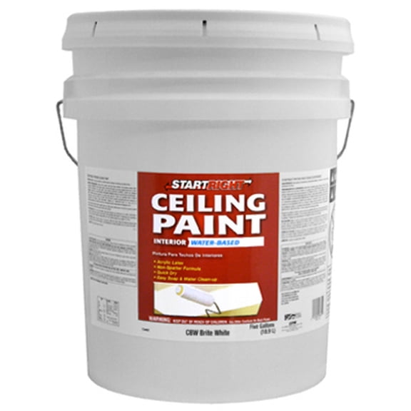Latex Ceiling Paint, Brite White Flat Latex, 5-Gals.