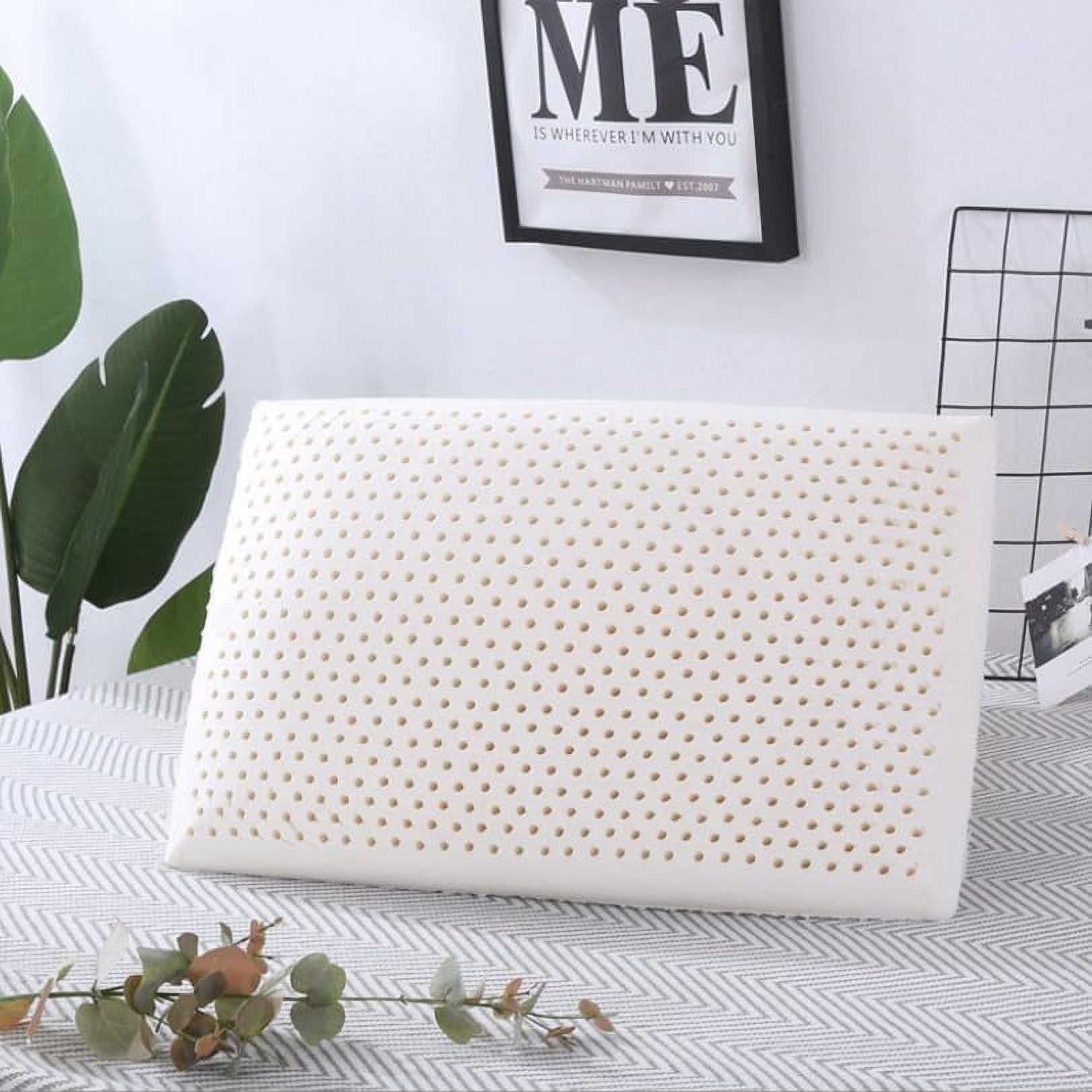 Latex Foam Pillow Standard Size 100 Natural Organic Firm Talalay Bed