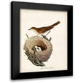 thumbnail image 1 of Latham, John 12x14 Black Modern Framed Museum Art Print Titled - Lesser White-Throat and Nest, 1 of 5