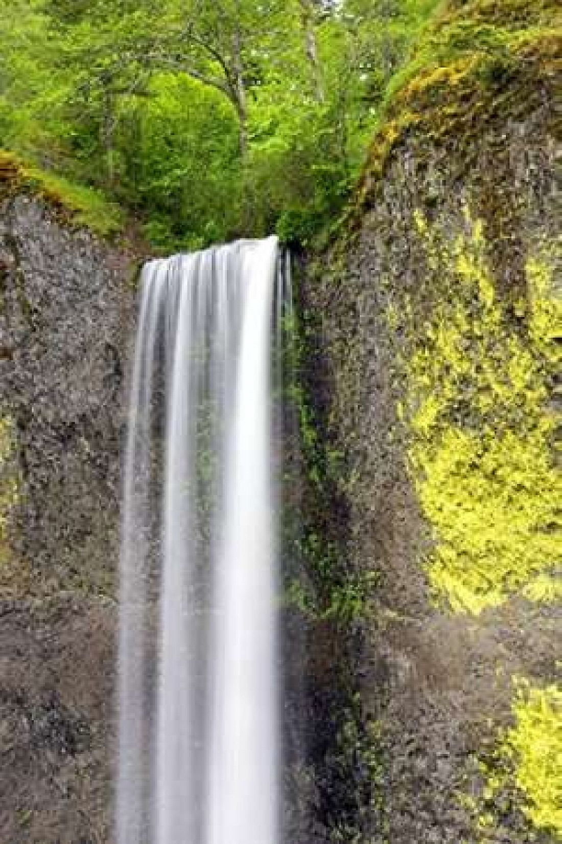 Latourell Falls Canvas Art - Douglas Taylor (12 x 18)