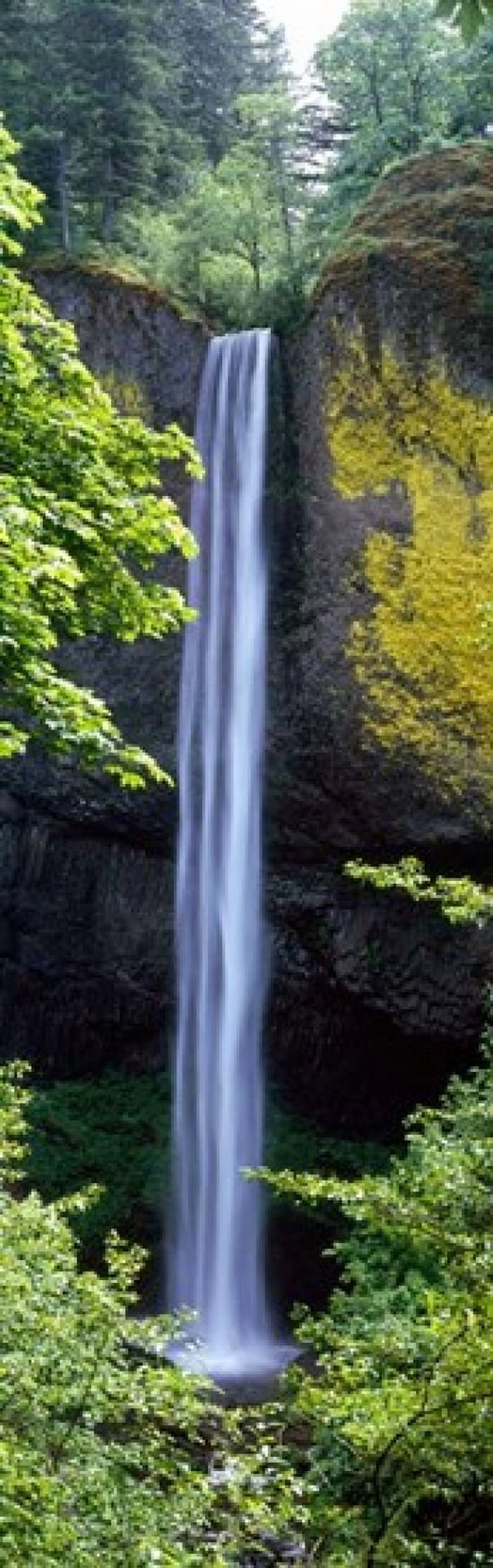 Latourell Falls Columbia River Gorge Oregon Canvas Art - Panoramic Images (12 x 39)