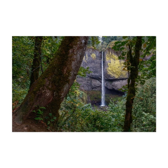 Latourell Falls - Guy W. Talbot State Park Oregon Photography Waterfall Forest Nature Scenic Autumn Woodland Wilderness Unframed Wall Art Print 32 x 48 inches