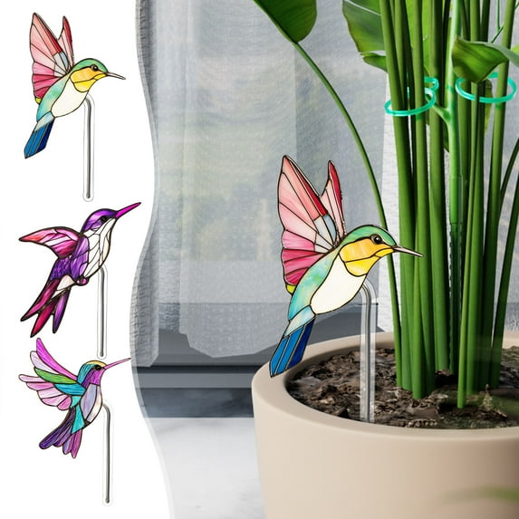 Latrodar Acrylic Potted Plant Insert Bird Planter Decoration Household Items for New Apartment A Acrylic